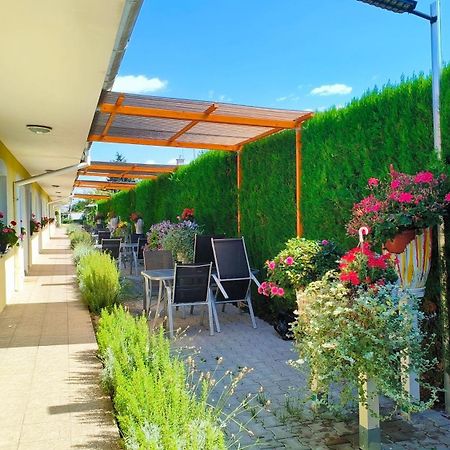 Cozy Room With Garden In Bratislava Exterior foto