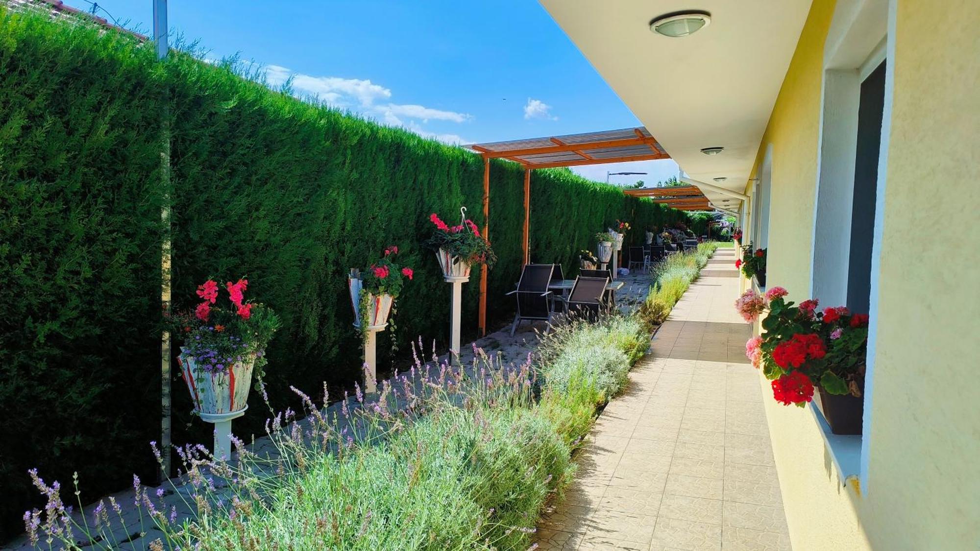 Cozy Room With Garden In Bratislava Exterior foto